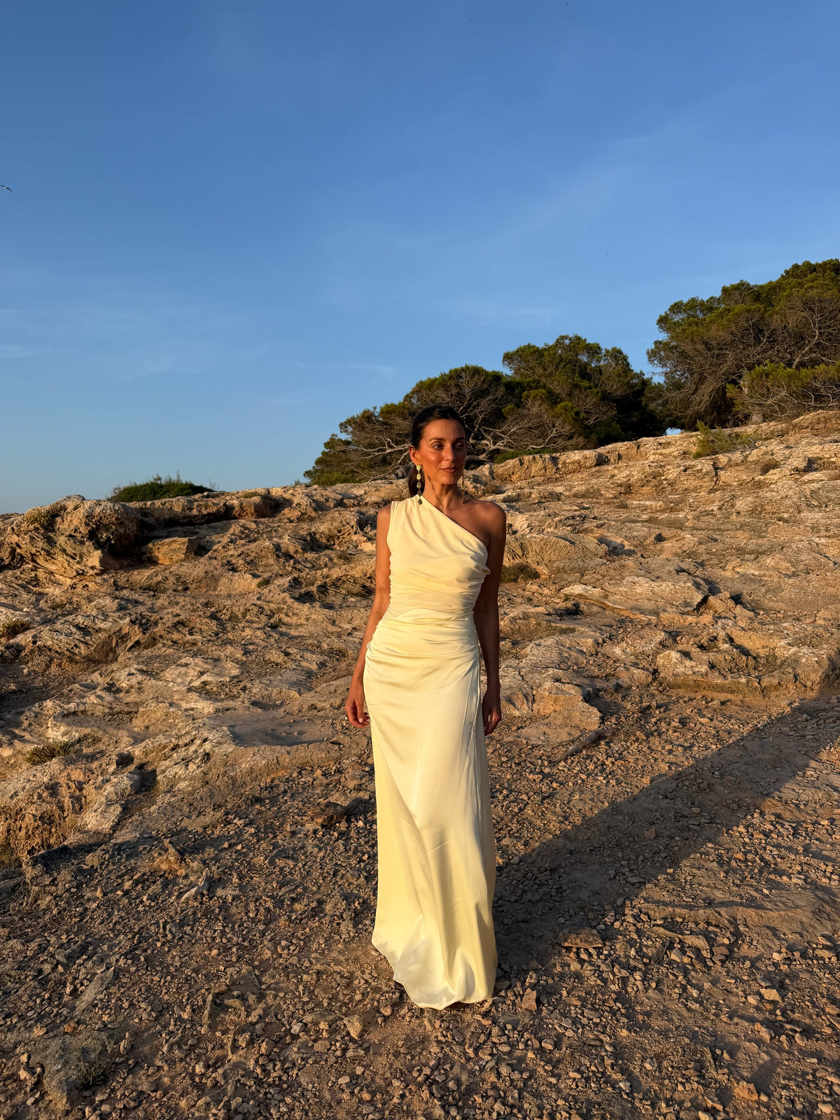 Vestido Elena con falda